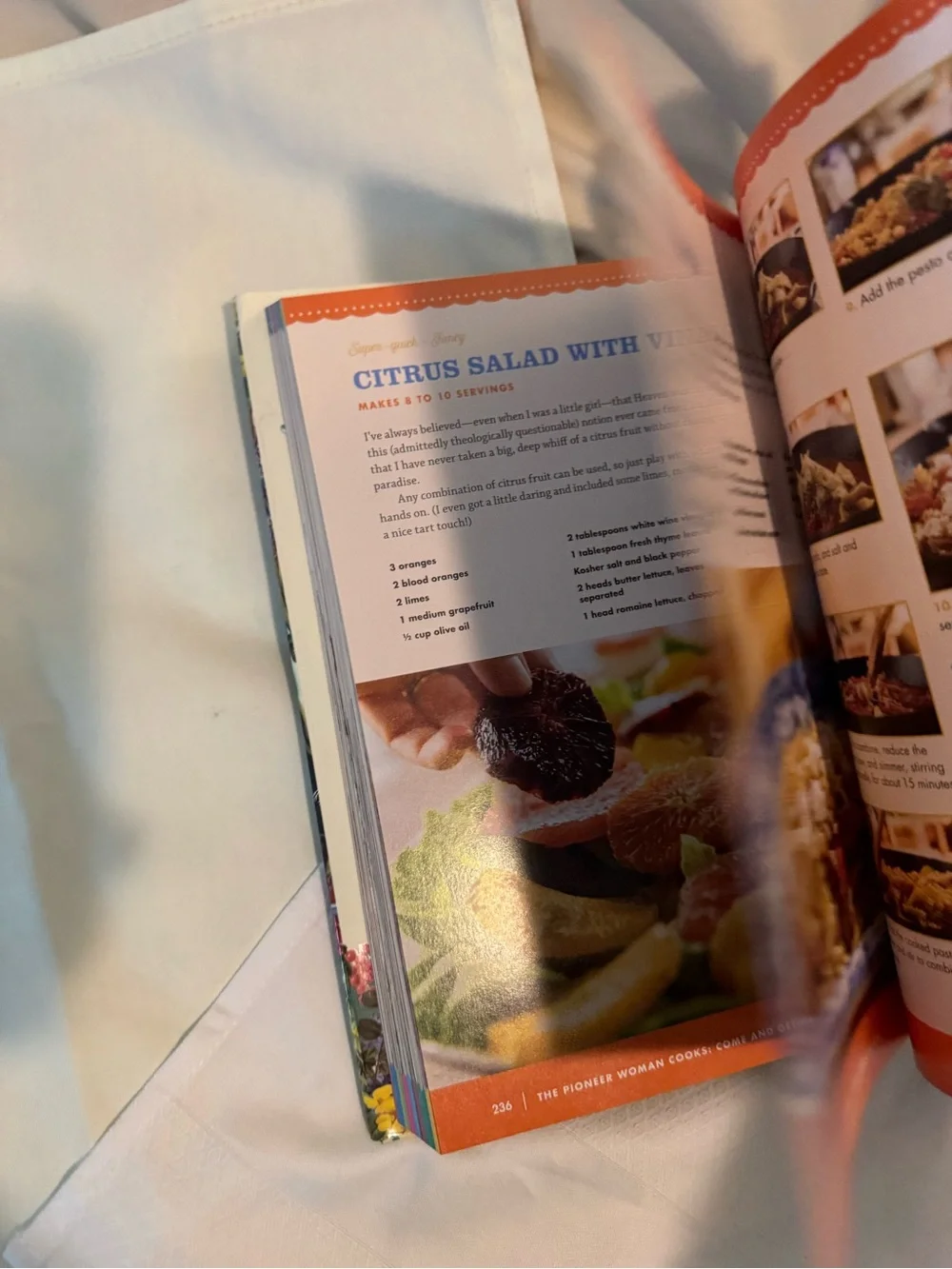 The Pioneer Woman cookbook by